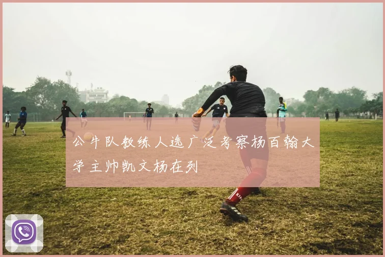 公牛队教练人选广泛考察杨百翰大学主帅凯文杨在列