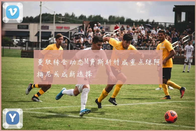 曼联转会动态M费斯科特成重点琼阿梅尼或成新选择
